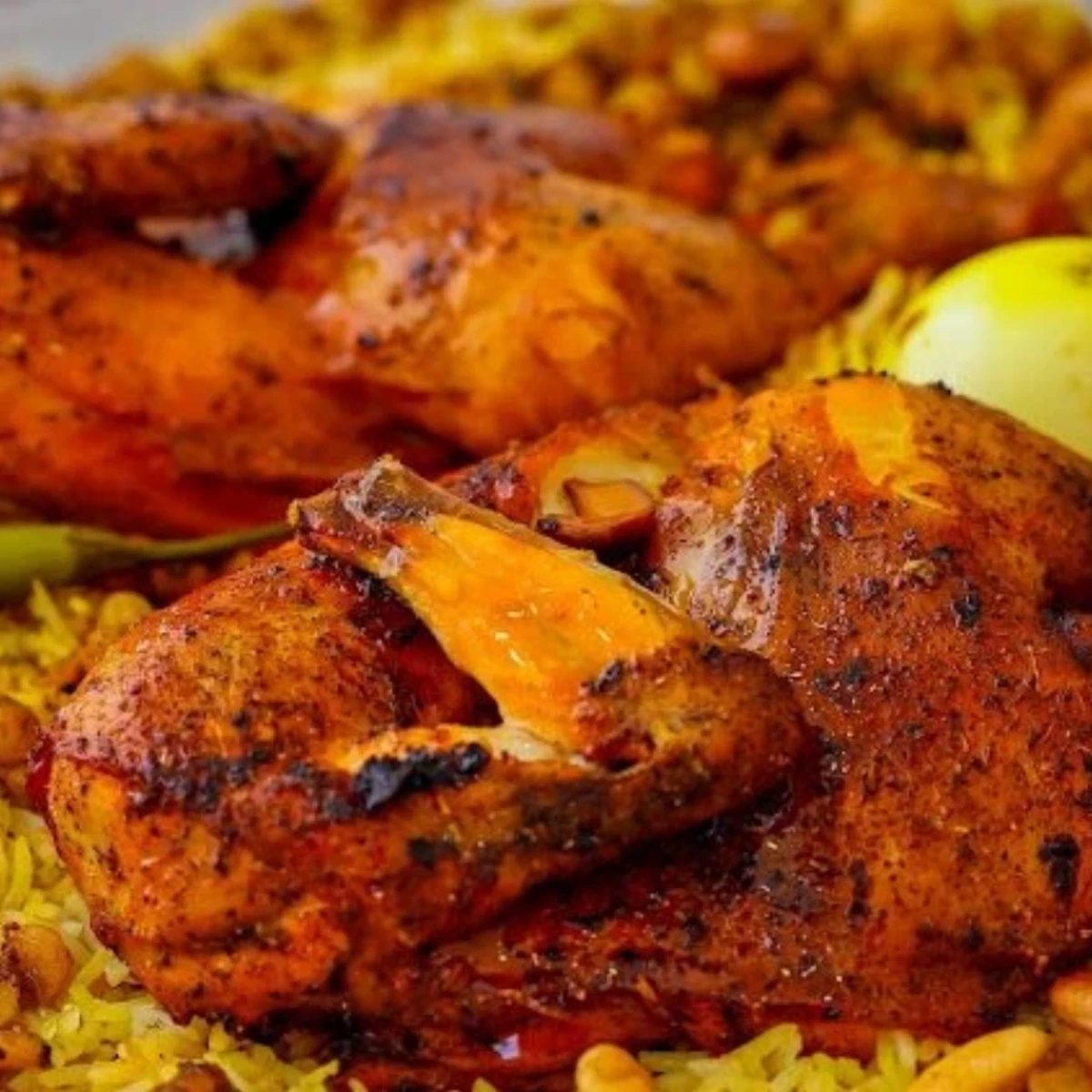 غوزي دجاج مال معاريس