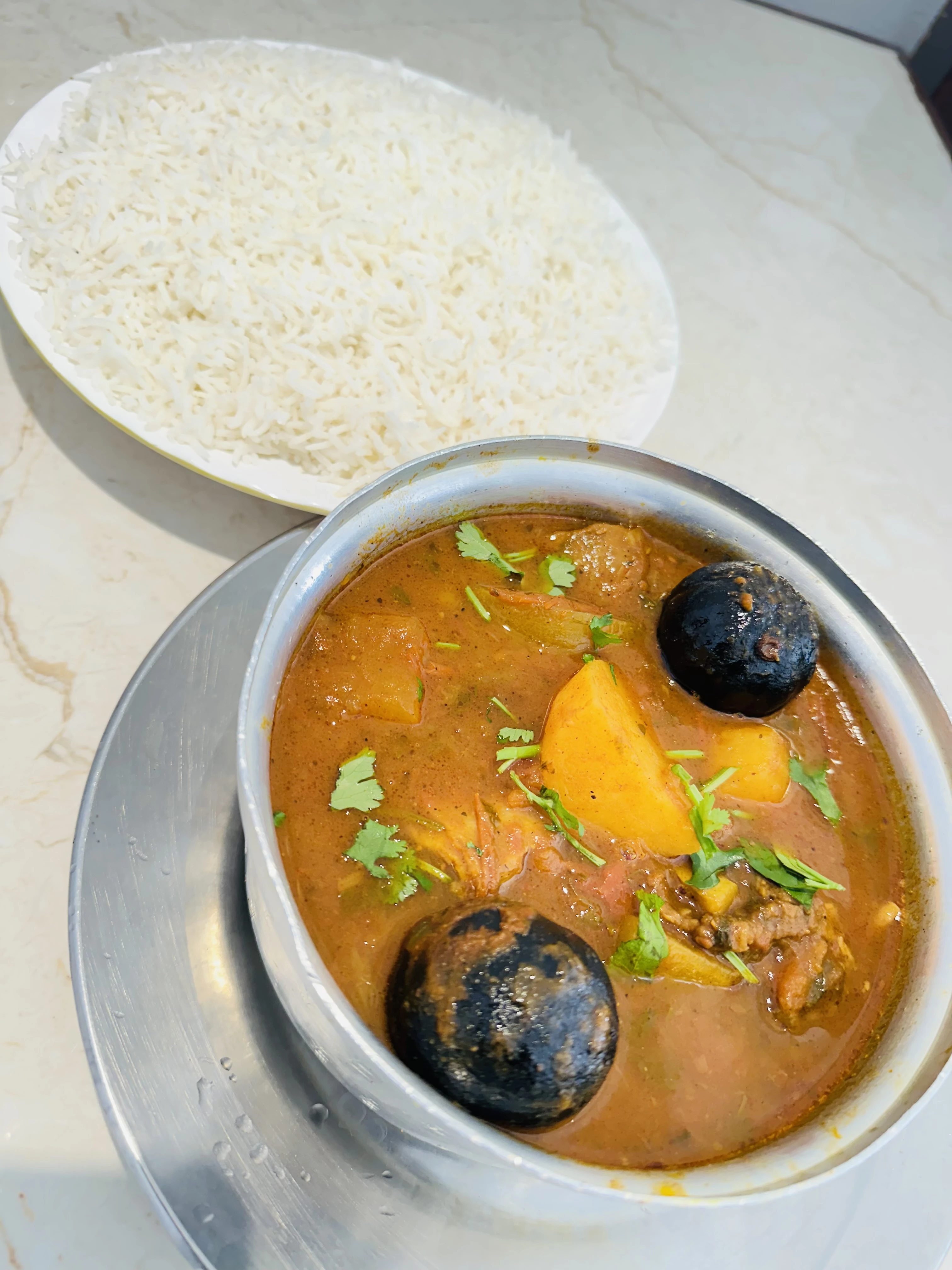 صالونة دجاج مع الخضرة مع شيلاني